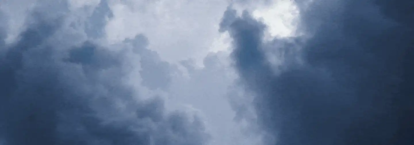 Image posted by the member