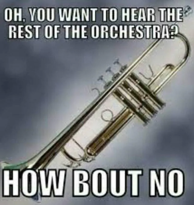 Image posted by the member