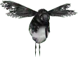 Image posted by the member