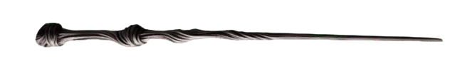 Image posted by the member