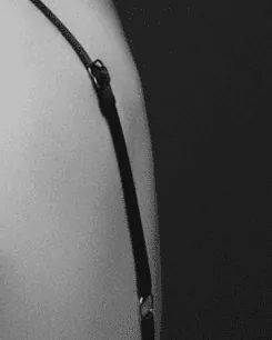 Image posted by the member