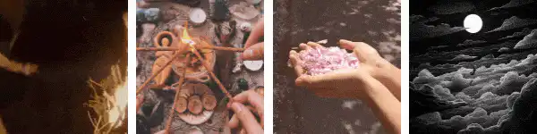 Image posted by the member