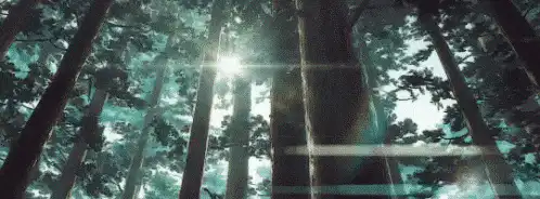 Image posted by the member