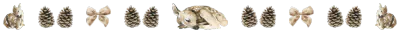 Image posted by the member