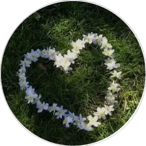 Image posted by the member