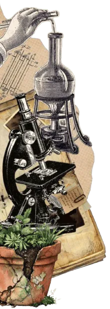 Image posted by the member