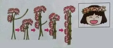 Image posted by the member