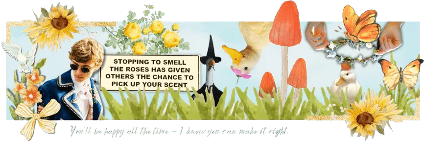 Image posted by the member