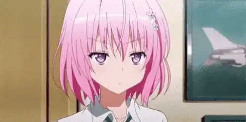 Image posted by the member
