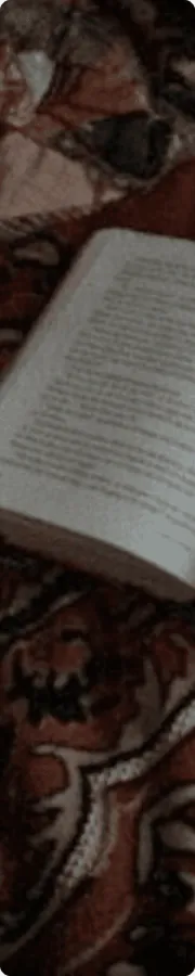 Image posted by the member