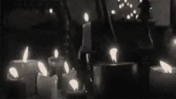 Image posted by the member