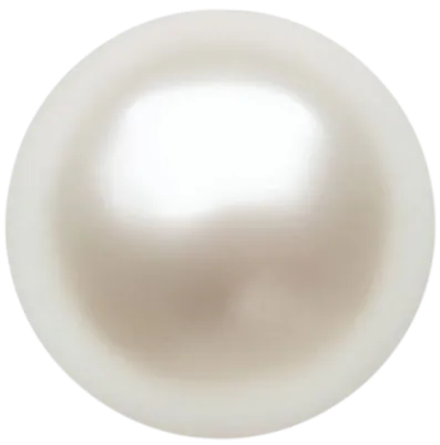 Image posted by the member