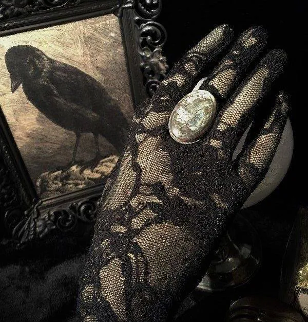 Image posted by the member