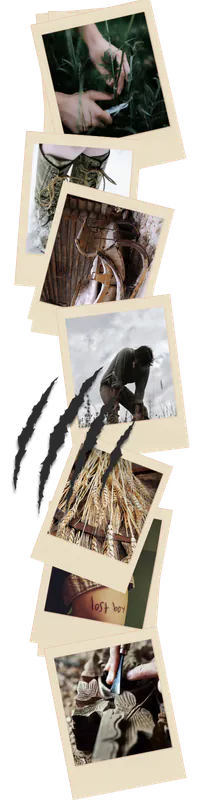 Image posted by the member