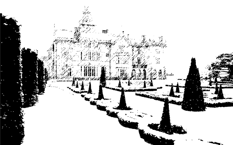 Image posted by the member