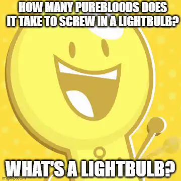 Image posted by the member