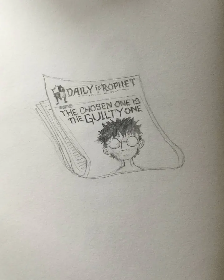 Image posted by the member