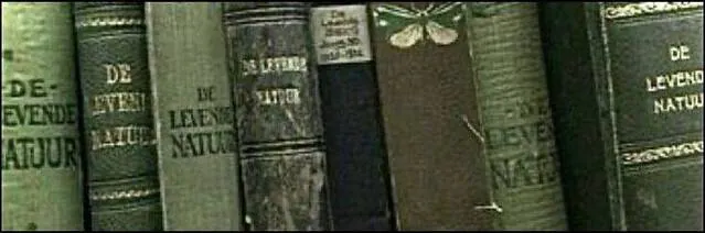 Image posted by the member