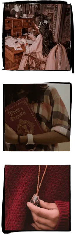 Image posted by the member
