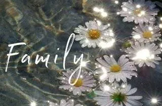 Image posted by the member