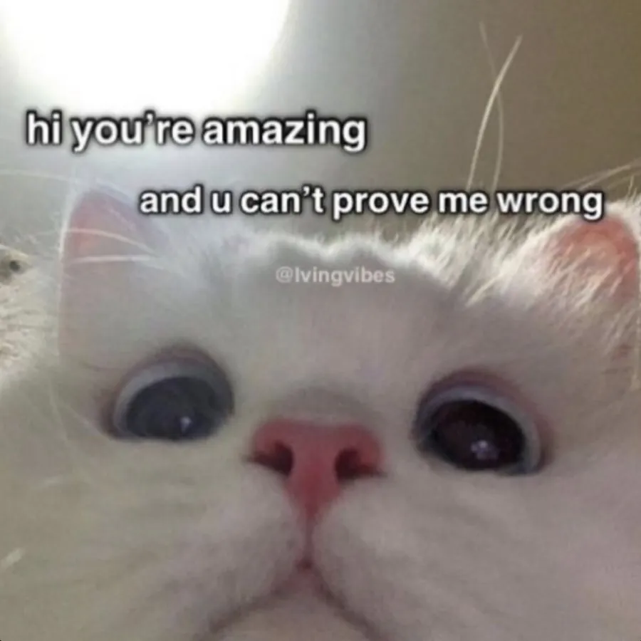 Image posted by the member