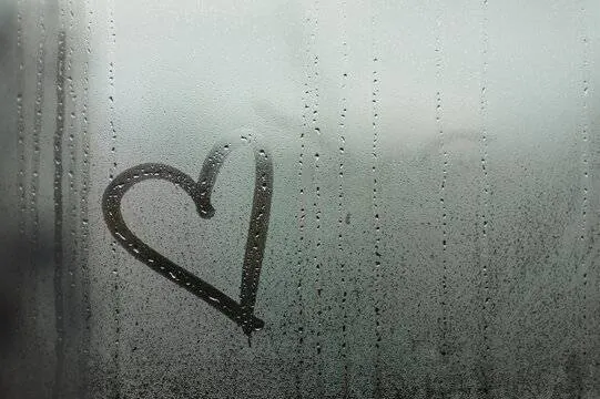 Image posted by the member