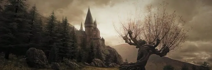 A shot of hogwarts from behind the whomping willow, the coloring is a beautifully warm brown, the castle is in the back and the sky is a light dusty orange