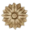Image posted by the member