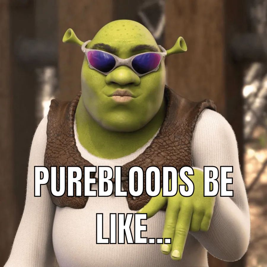 Image posted by the member