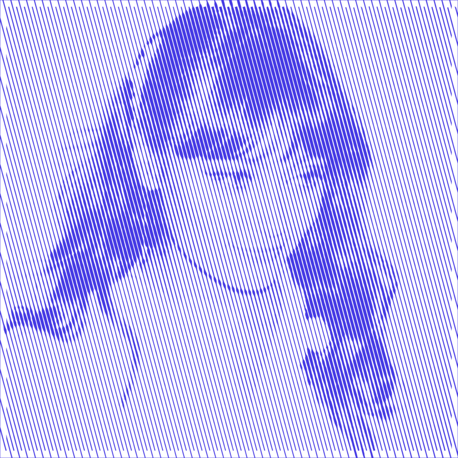 Image posted by the member