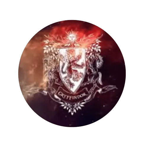 Image posted by the member