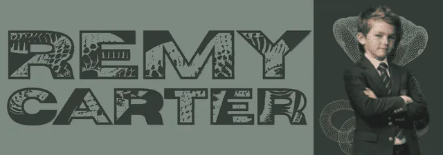 Image posted by the member