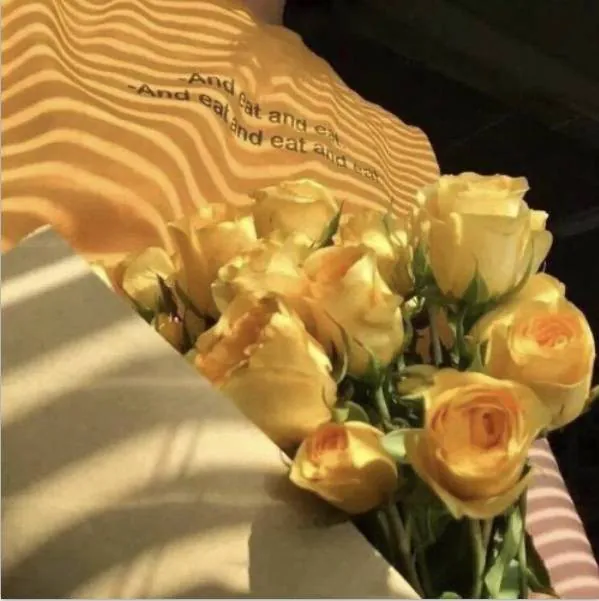 Image posted by the member