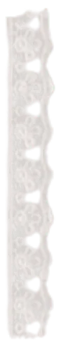 Image posted by the member