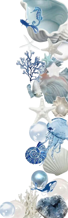 Image posted by the member