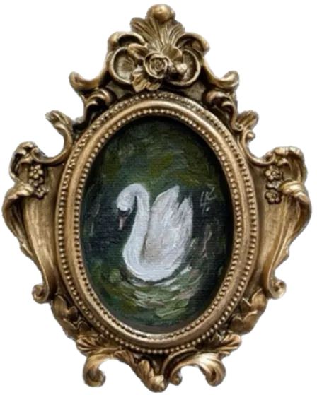 Image posted by the member