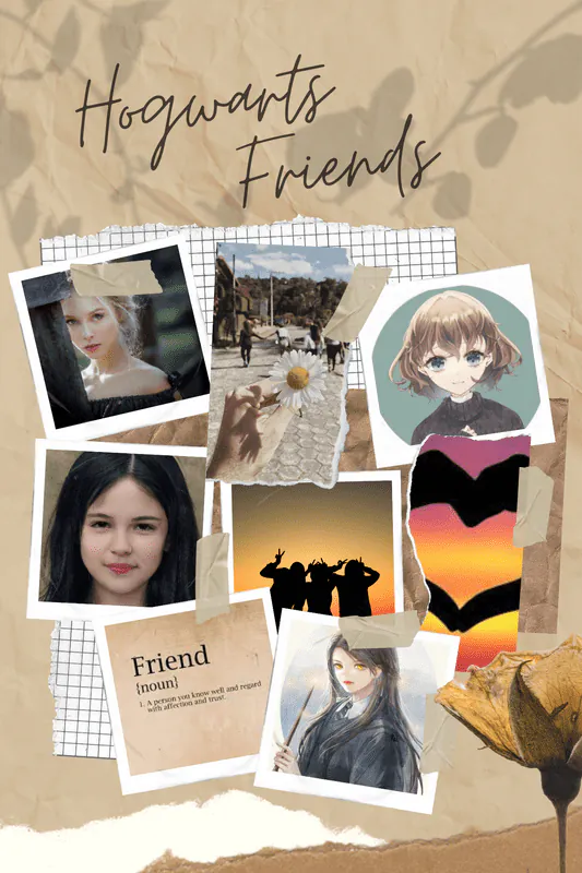 Image posted by the member