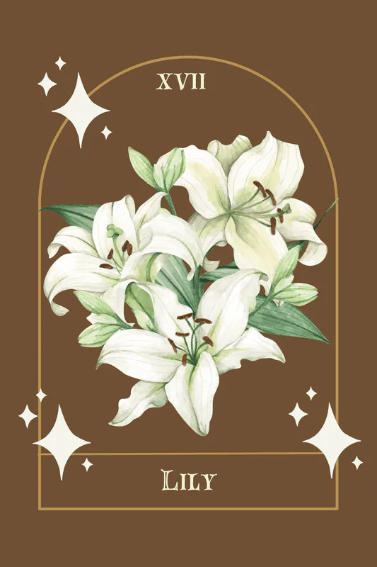 Image posted by the member