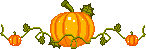 Image posted by the member