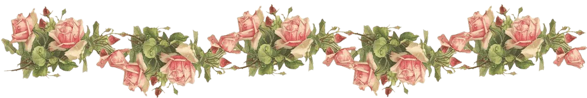 Image posted by the member