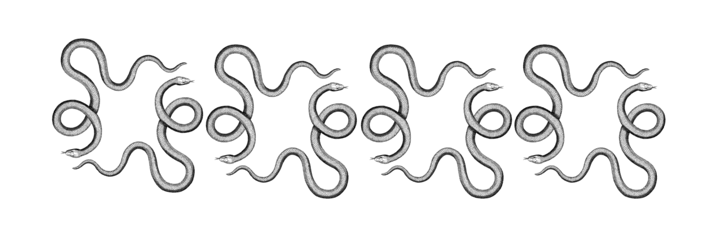 Image posted by the member