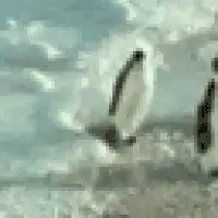 Image posted by the member