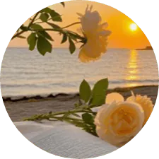 Image posted by the member
