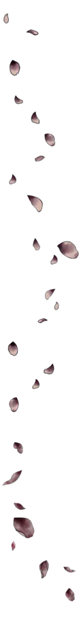 Image posted by the member