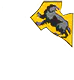 Image posted by the member