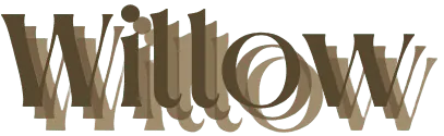 Image posted by the member