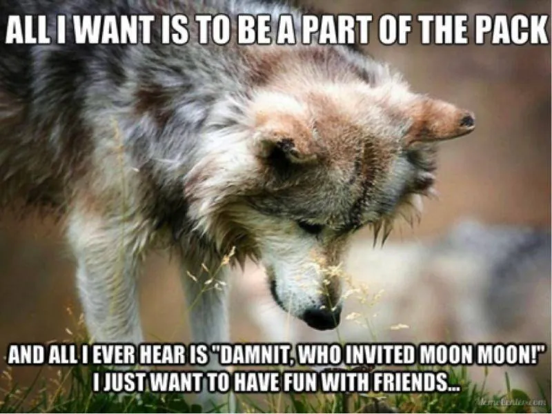 Image posted by the member