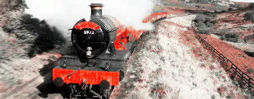 Image posted by the member