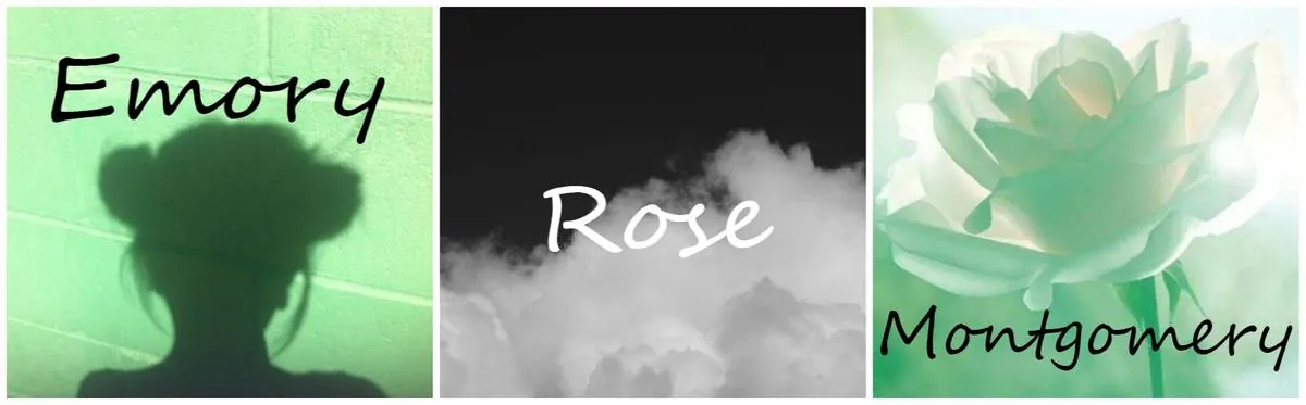 Image posted by the member