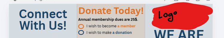Image posted by the member